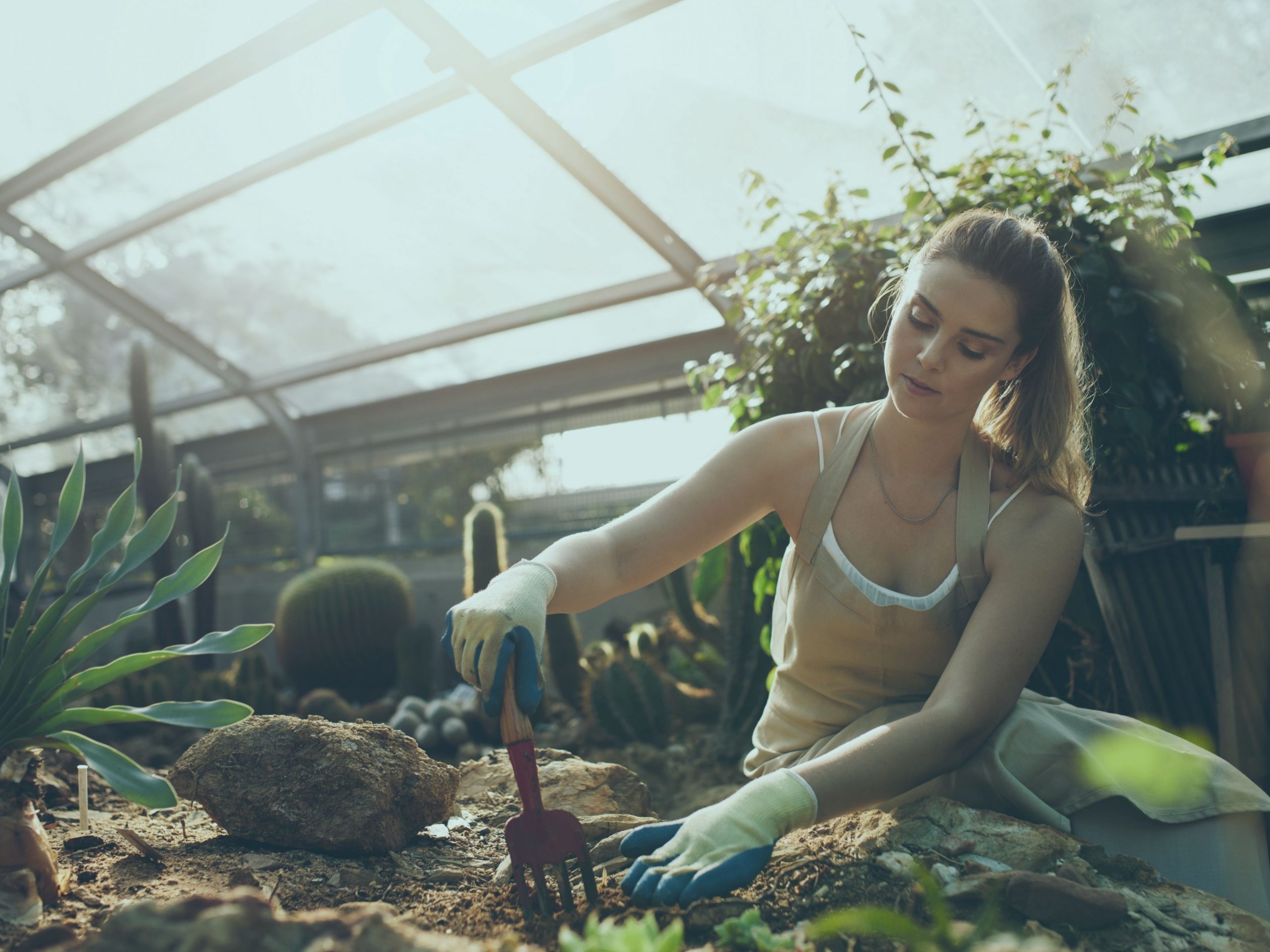 Gardening and Fitness – Can gardening really help you get fitter?
