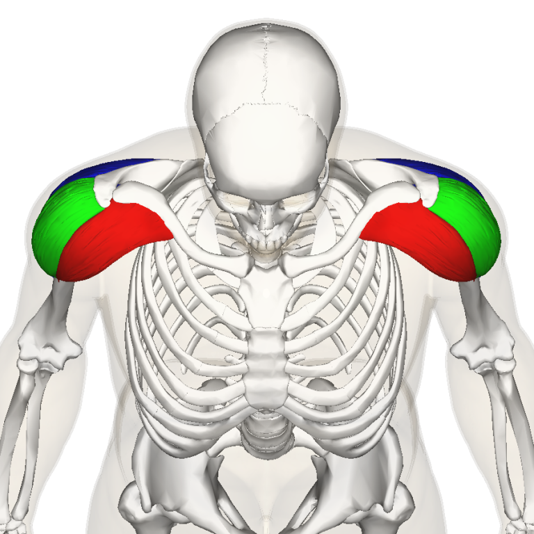 Front shoulder pain Perea Clinic