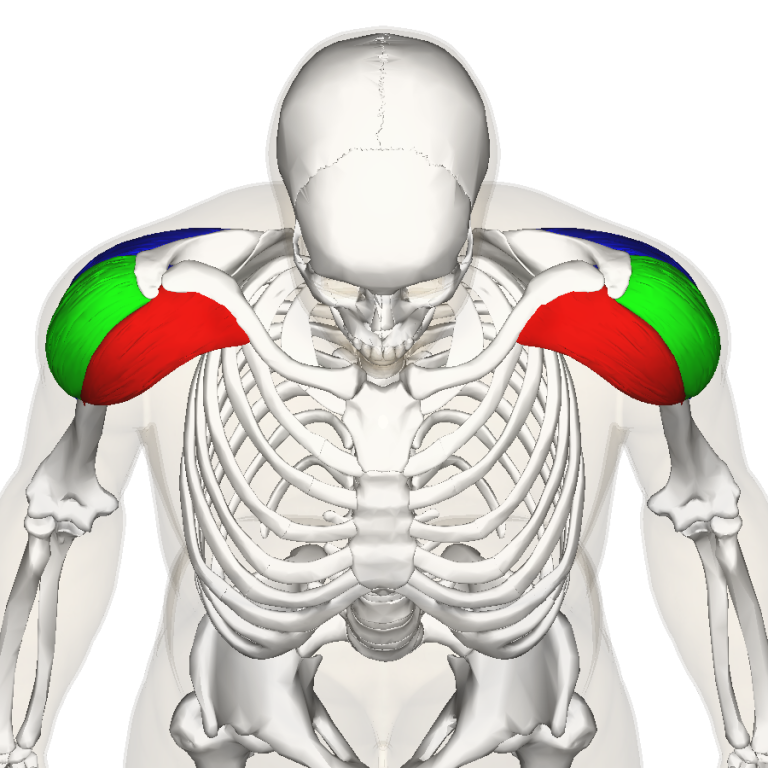 Front Shoulder Pain Perea Clinic