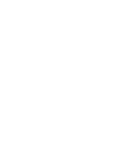 injury rehabilitation