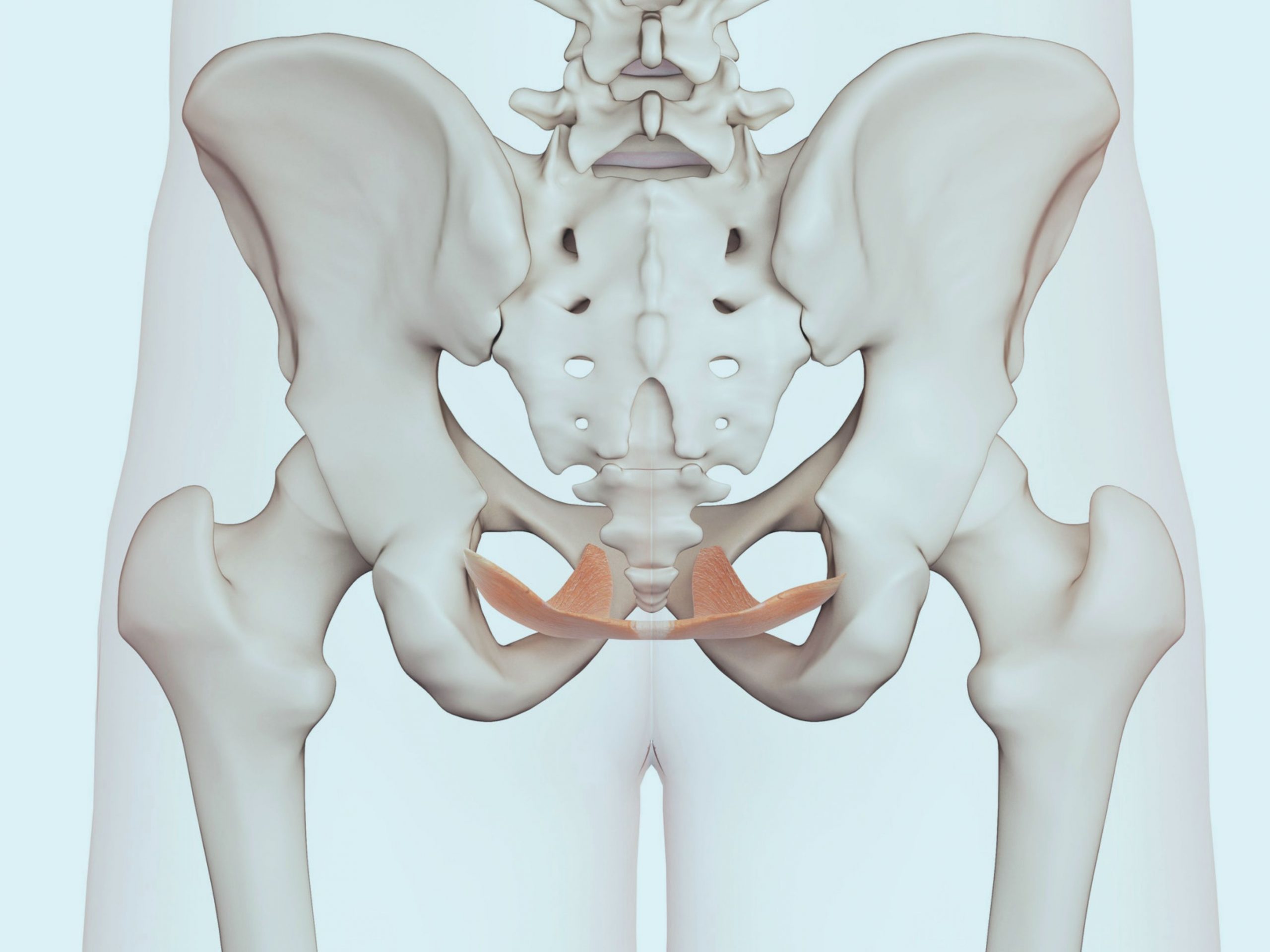Lower back and Pelvic Girdle Pain (PGP)