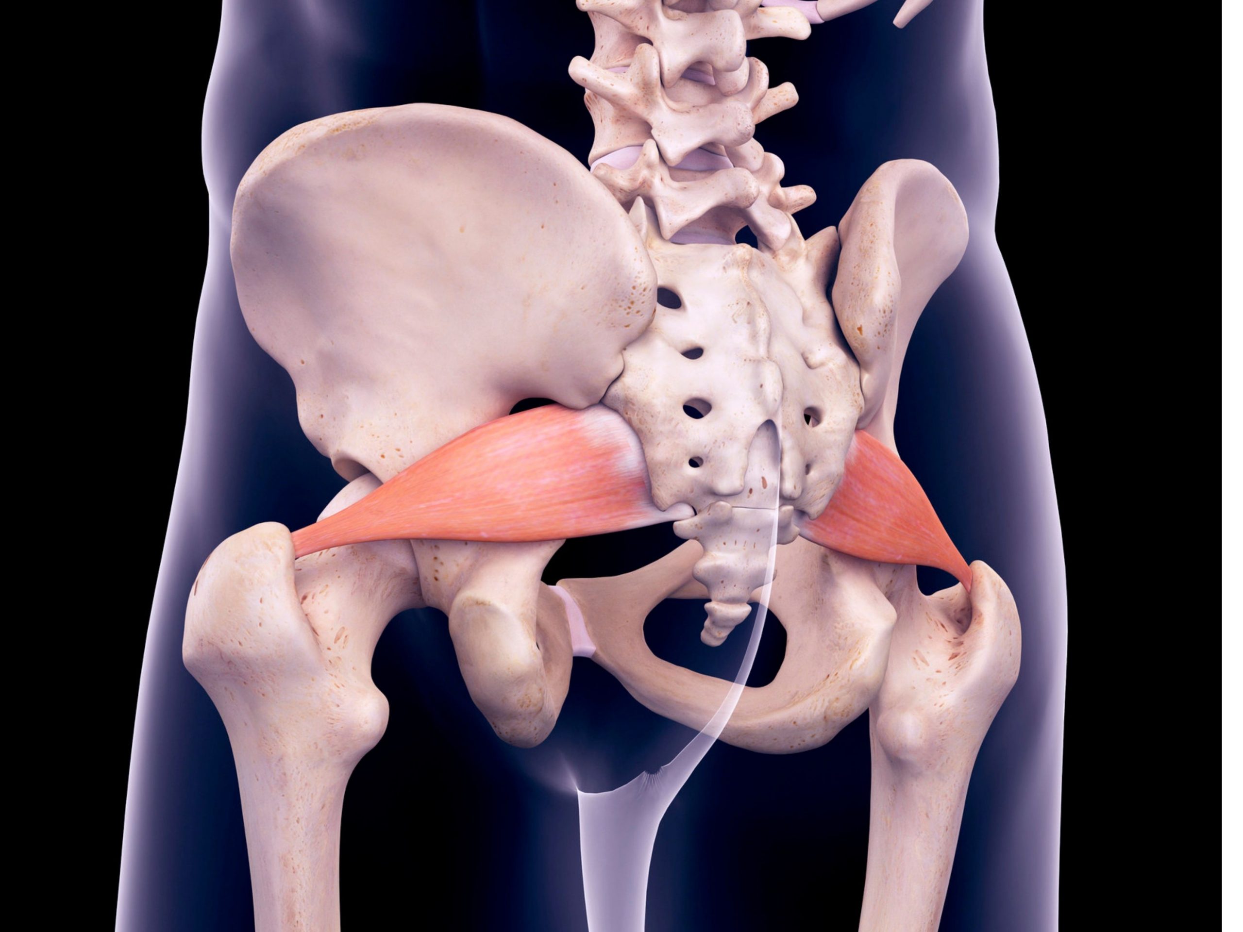 Piriformis Syndrome My MSK Clinic Burnley Manchester