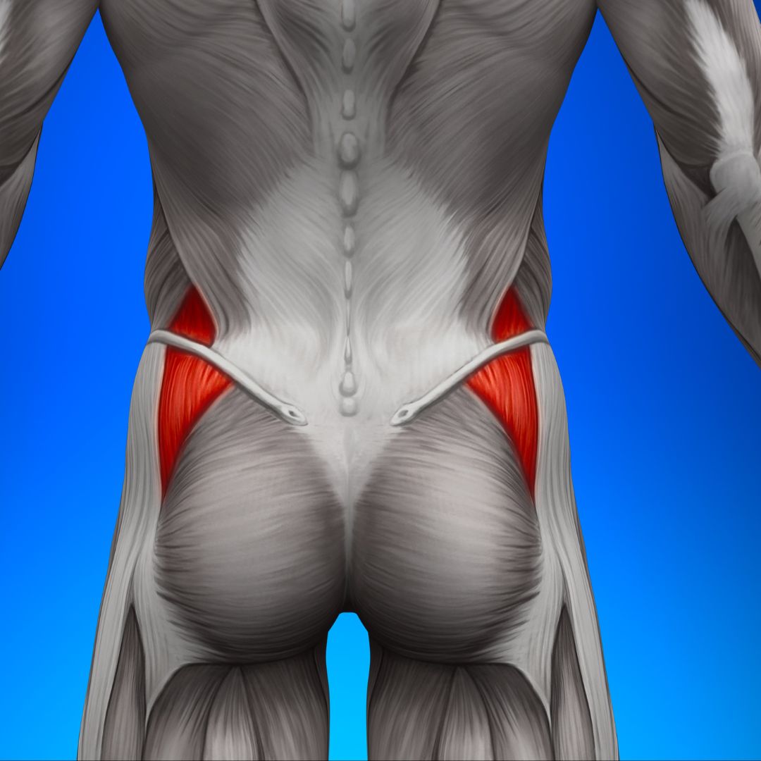Common Gluteal Injuries: Pain or numbness in your bottom when running?