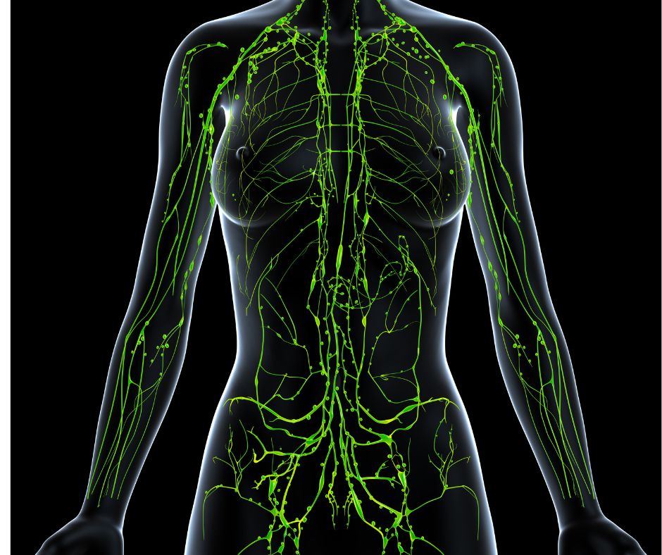 Vascularized Lymph Node Transfer (VLNT) for Lymphoedema: hope for lymphatic health